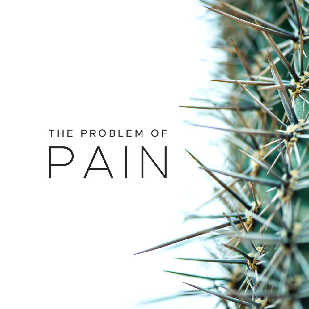 The Problem of Pain