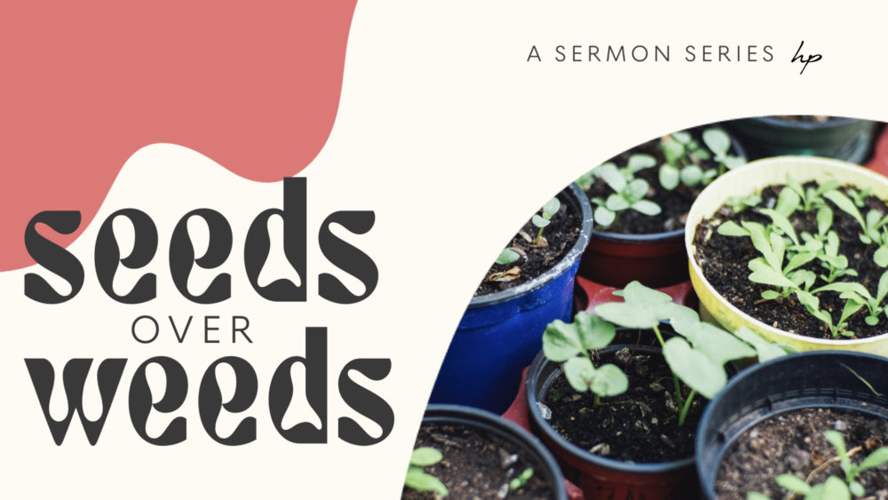 Seeds over weeds